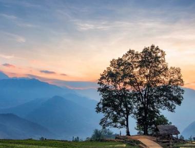 The Golden Harvest - Exploring the Orange Garden in Moc Chau