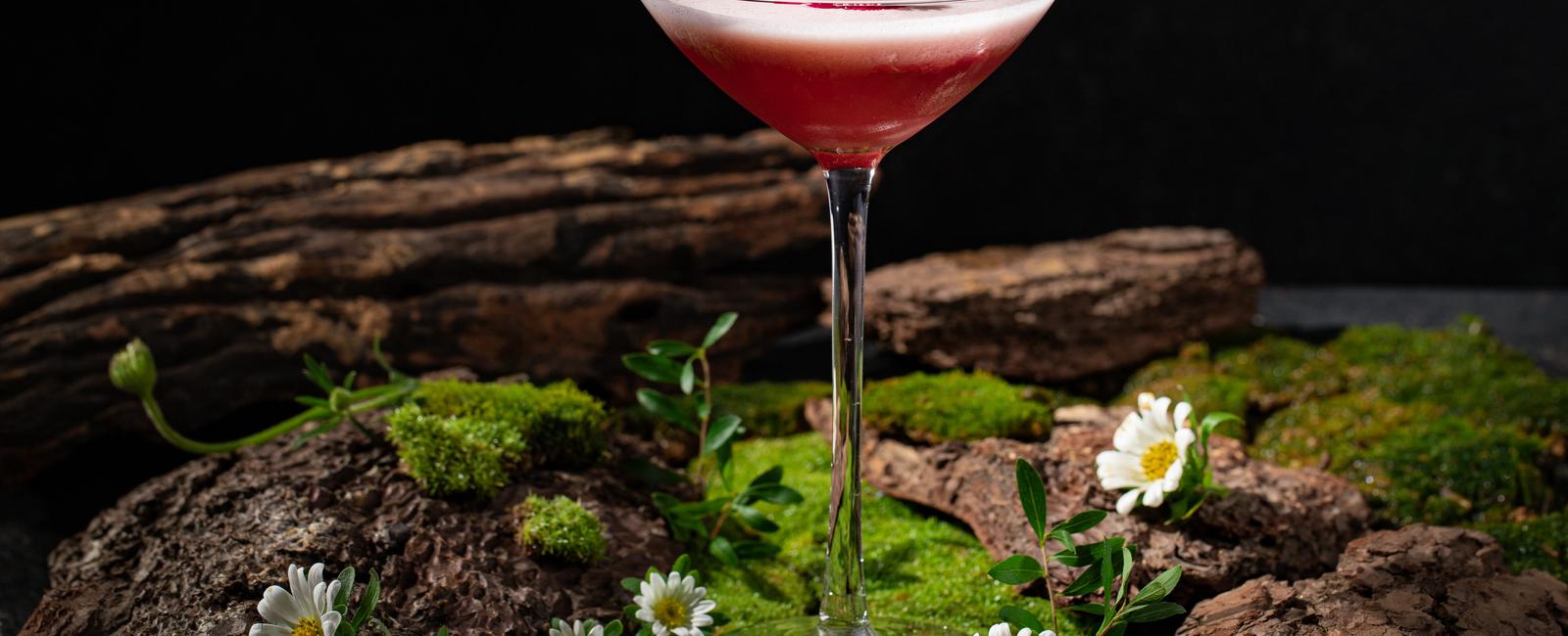 Nothing to Say - Unveiling the Secret