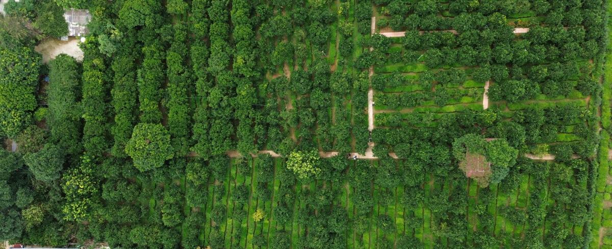 48 Hours in Y Tý - Discover the Mystical Land of Clouds