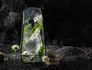 L'essential A Symphony of Exquisite Flavors