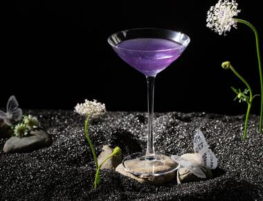 Starry Night - A Sensory Journey Inspired by Van Gogh