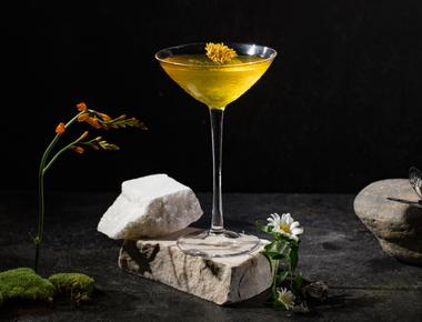 Silence is Golden - A Cocktail Journey at Nectar Hideaway
