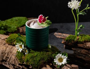 Discover the Whispering of the Woods at Nectar Hideaway